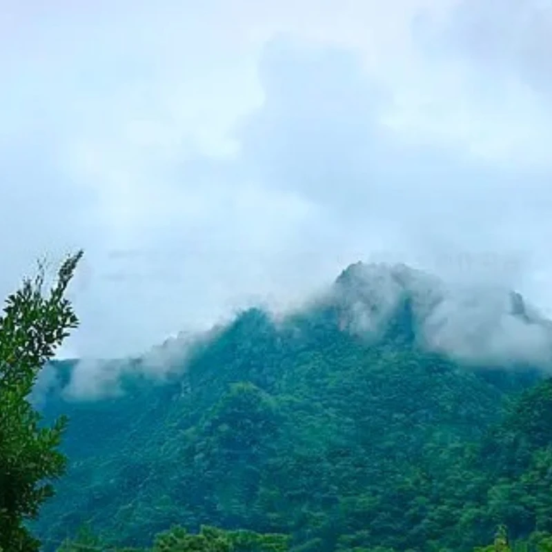 GEPRC EM2807 2807 MOTOR 1350KV 6S LiPo for FPV Freestyle Long Range Drones DIY Parts