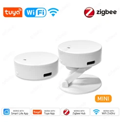 ZigBee WiFi MmWave rilevatore Radar con sensore di movimento di presenza umana con rilevamento di luminanza/distanza Tuya Smart Life domotica