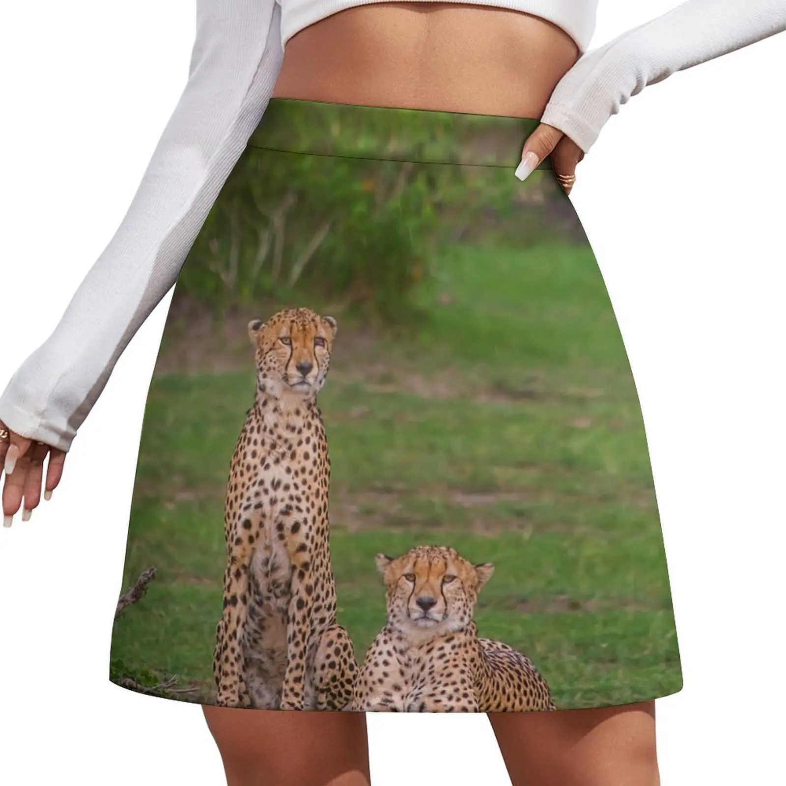 Kenya. Maasai Mara National Reserve. Cheetahs. Two Brothers. Mini Skirt skirts summer dress women 2026