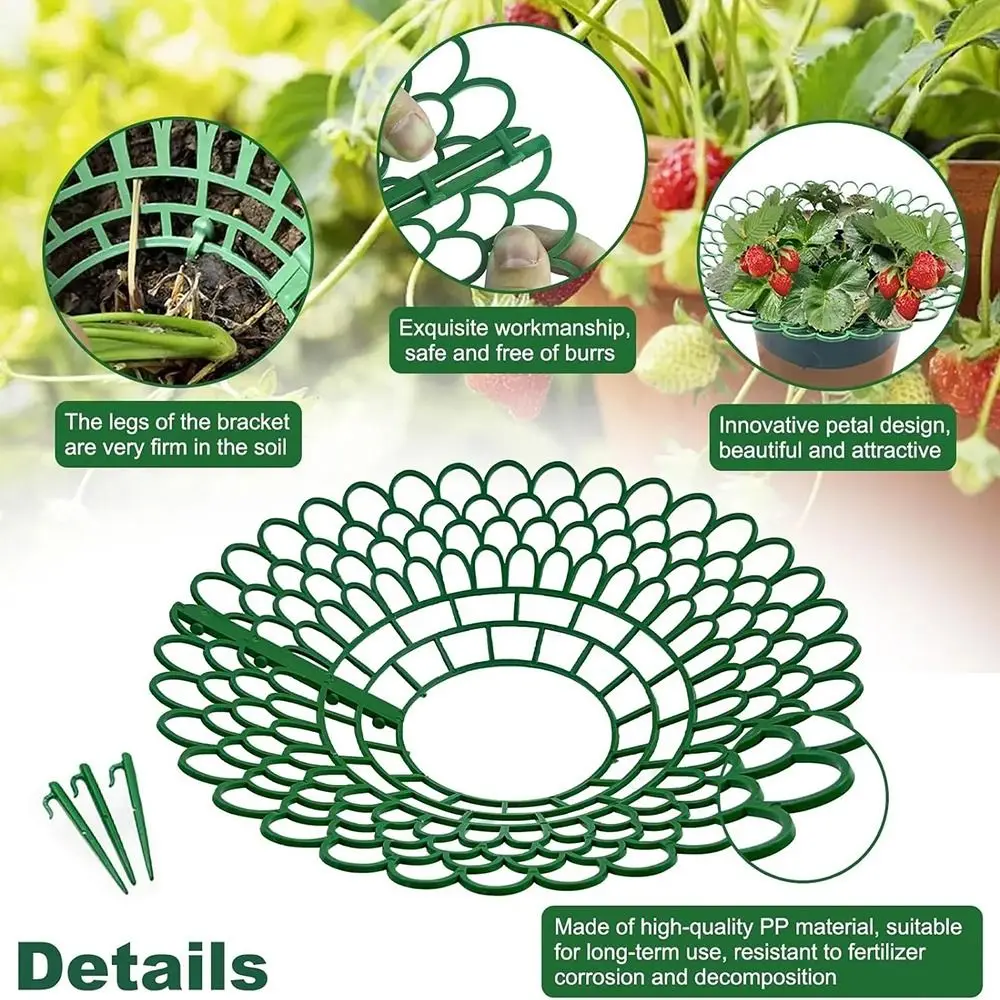3 Sturdy Legs Strawberry Plant Supports Keeping Plant Fruit Stand Mold Rot Dirt Protection Strawberry Growing Racks