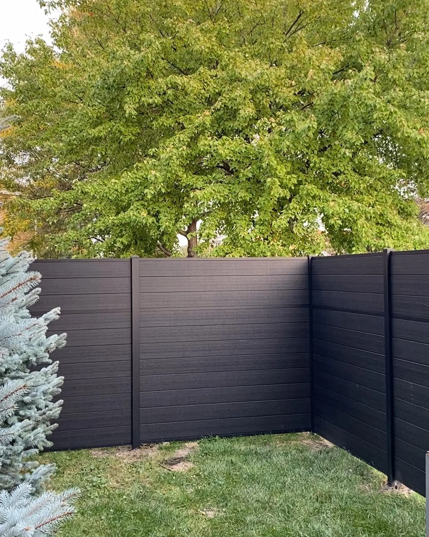 Customizable 3D Eco-Friendly Outdoor Privacy Fencing Easily Assembled HDPE Trellis Panel Board Sets 6ft Pool Veranda Park
