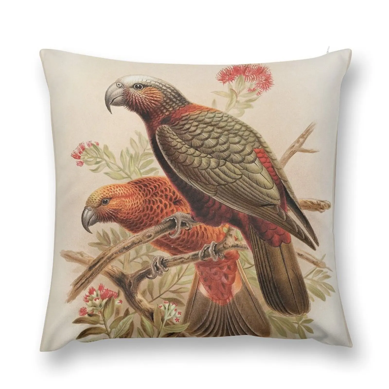 Kaka parrot and Kaka-kura, by Johannes Keulemans Throw Pillow Sofa Cushion Cushions For Sofa pillow