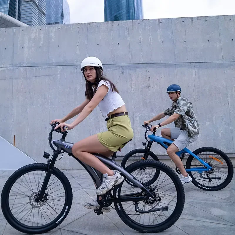 STLF Wholesale Adult Step Through E-Bike, 48V 13Ah Lithium Ion Battery 27.5*2 Tire Road Snow Dirt Electric Bicycle