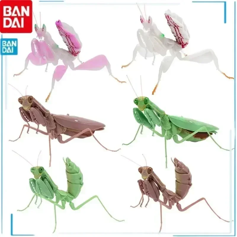 Bandai Insects Series Mantis Spider Scorpion Wasp Simulation Insect Different Style Models Action Figure Model Toys