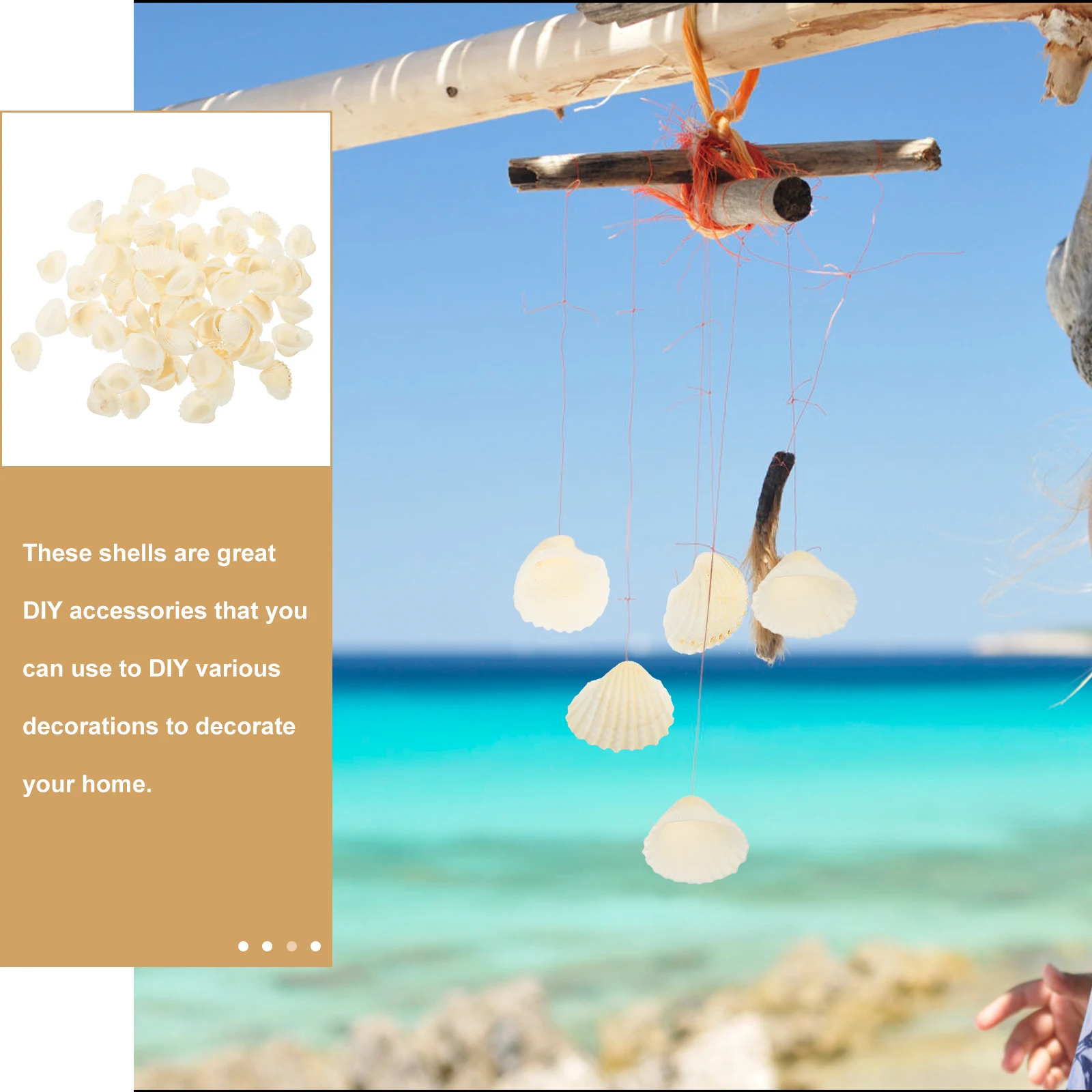 

1Set Eco Friendly Natural Seashells Decoration Fish Tank Shell Adorns DIY Accessories Aquarium Seashells Decoration