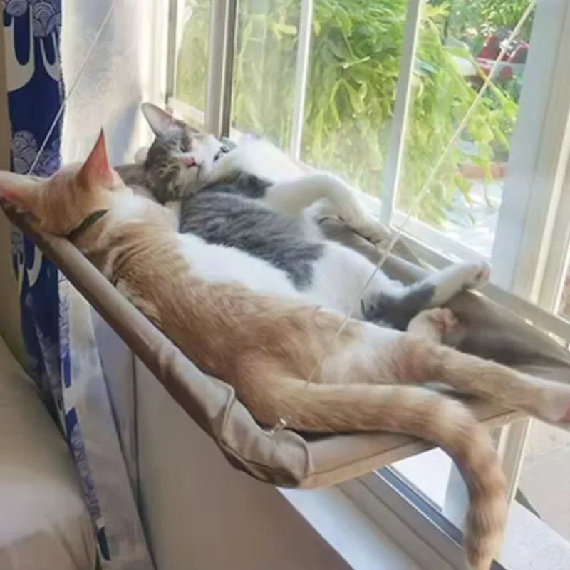 #39 Latest Cat Furniture Offers