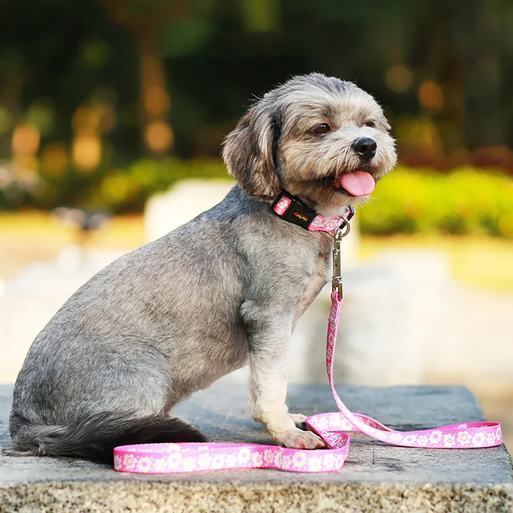 Adjustable Soft Dog Collar & Leash Set - Cute Floral Prints for Small To Medium Dogs & Cats, Perfect for Walking, Running