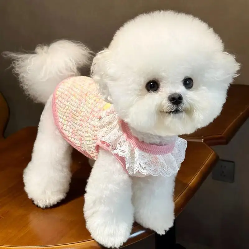 Lindo Chaleco de Encaje para Perro con Orificio para Correa, Ropa de Otoño e Invierno para Mascotas, para Poodle y Pomerania, Ropa para Perros Pequeños y Gatos