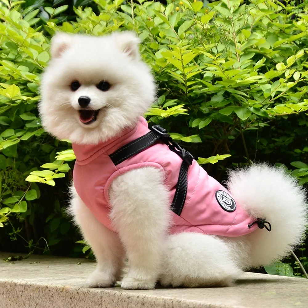 Winter Pet Dog Vest Jacket Clothes Warm Soft XS-XXL Down Jacket with Harness for Small Medium Large Dogs Chihuahua Clothing