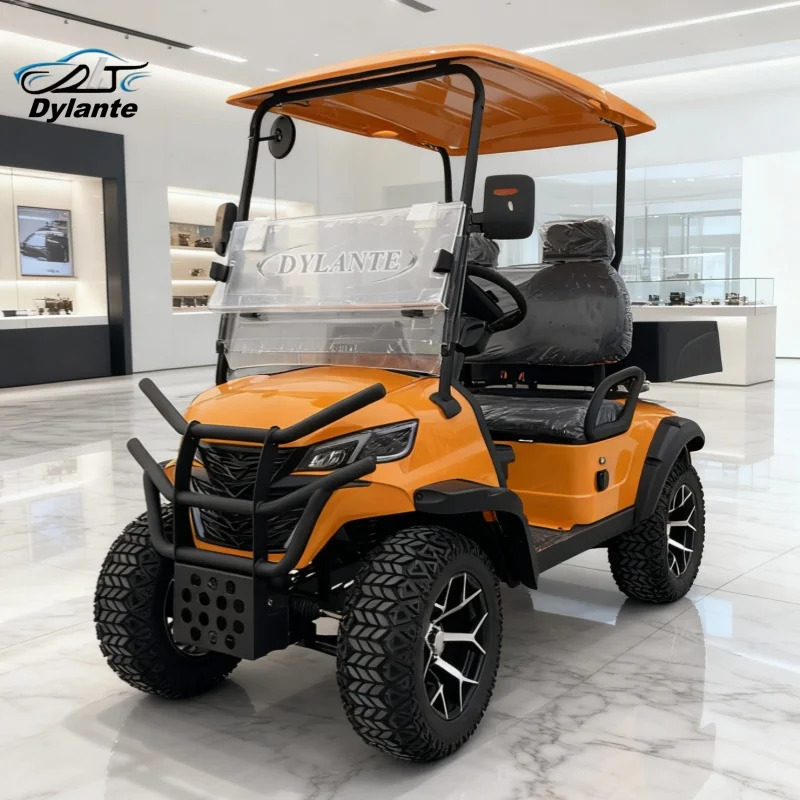Mini Electric Golf Cart 4000W 2 Seats Cheap Agricultural Lead Acid Battery Multipurpose Hunting Cart Golf Cart with Cargo Bed