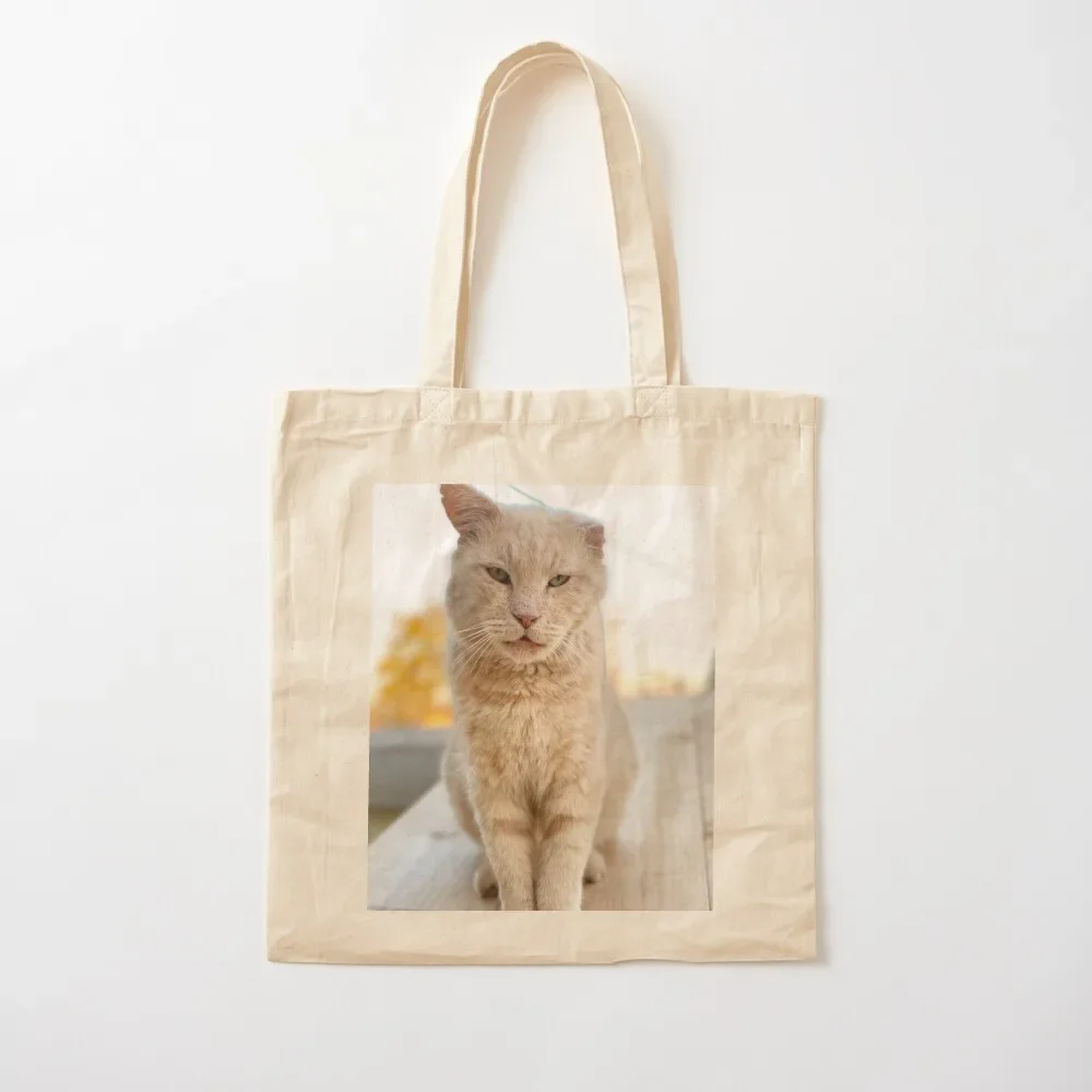 

Panfilo portrait Tote Bag tote bag woman female bag