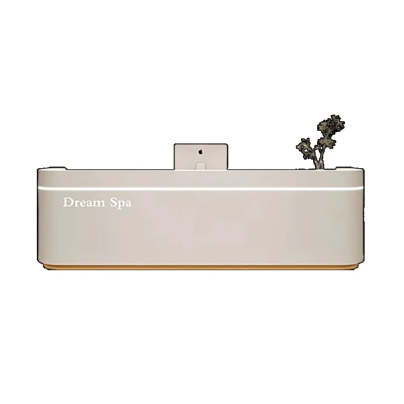 

Elegant Modern Bar Counter Cashier Cabinet Beauty Simple Delicacy Reception Desks Aesthetic Unique Mostrador Office Furniture