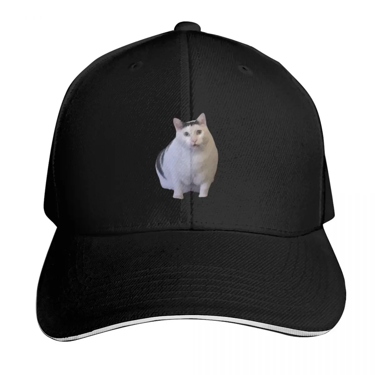 Cat Meme - Huh Cat Baseball Cap luxury caps Icon Brand Man cap Designer Hat Ladies Men's