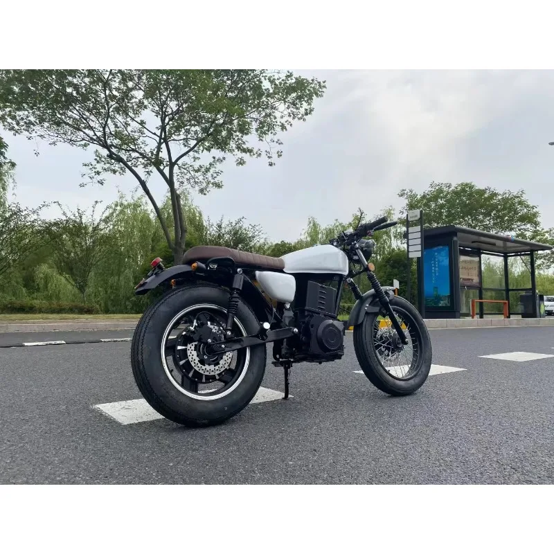 XDSS Adult Retro Electric Motorcycle Manufacturers Direct Sales Speed 80-120km/h 1500W 2000W 3000W Motor Available