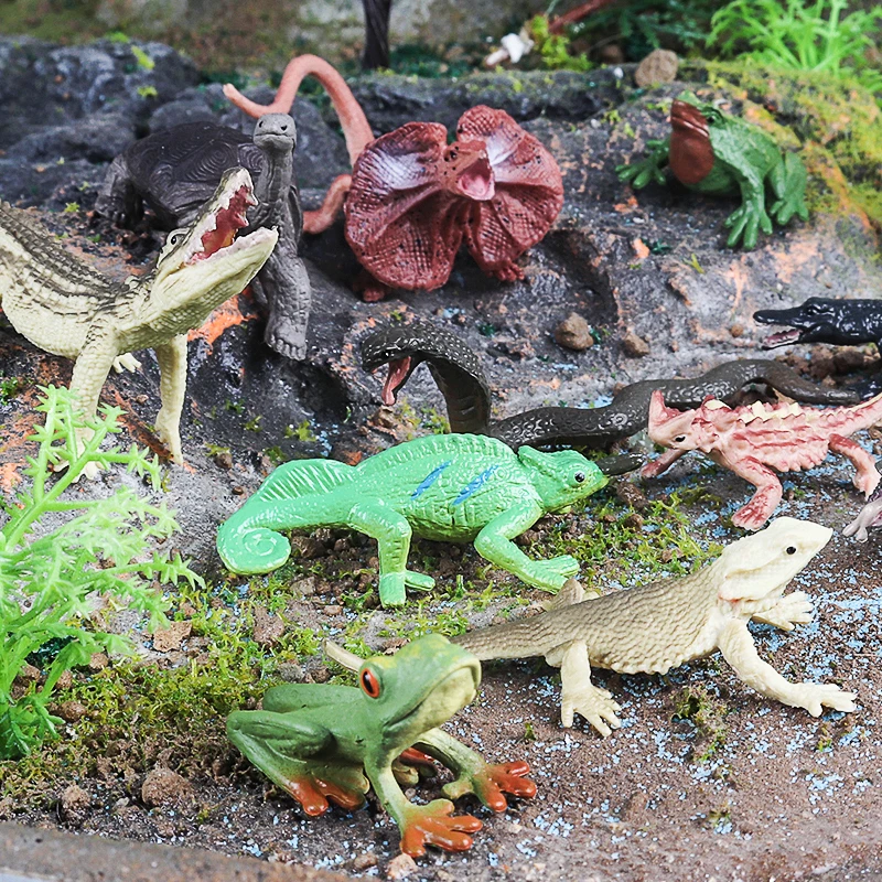 Oenux Montessori Spielzeug Wild Farm Dinosaurier Ozean Katze Tiere Modell Action Figur Zoo Figuren Nette Miniatur Bildung Kind Geschenk – Detail 14