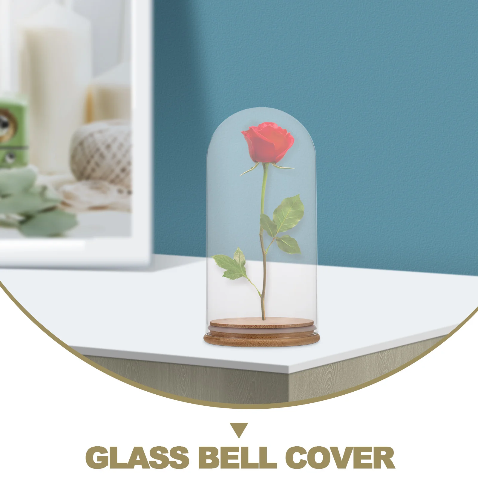 

Glass Dome Display Case with Bamboo Lid 10x20cm Clear Rectangular Cloche for Dry Flower Craft Ornament Home Decor Vase