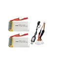 2Pcs and USB charger