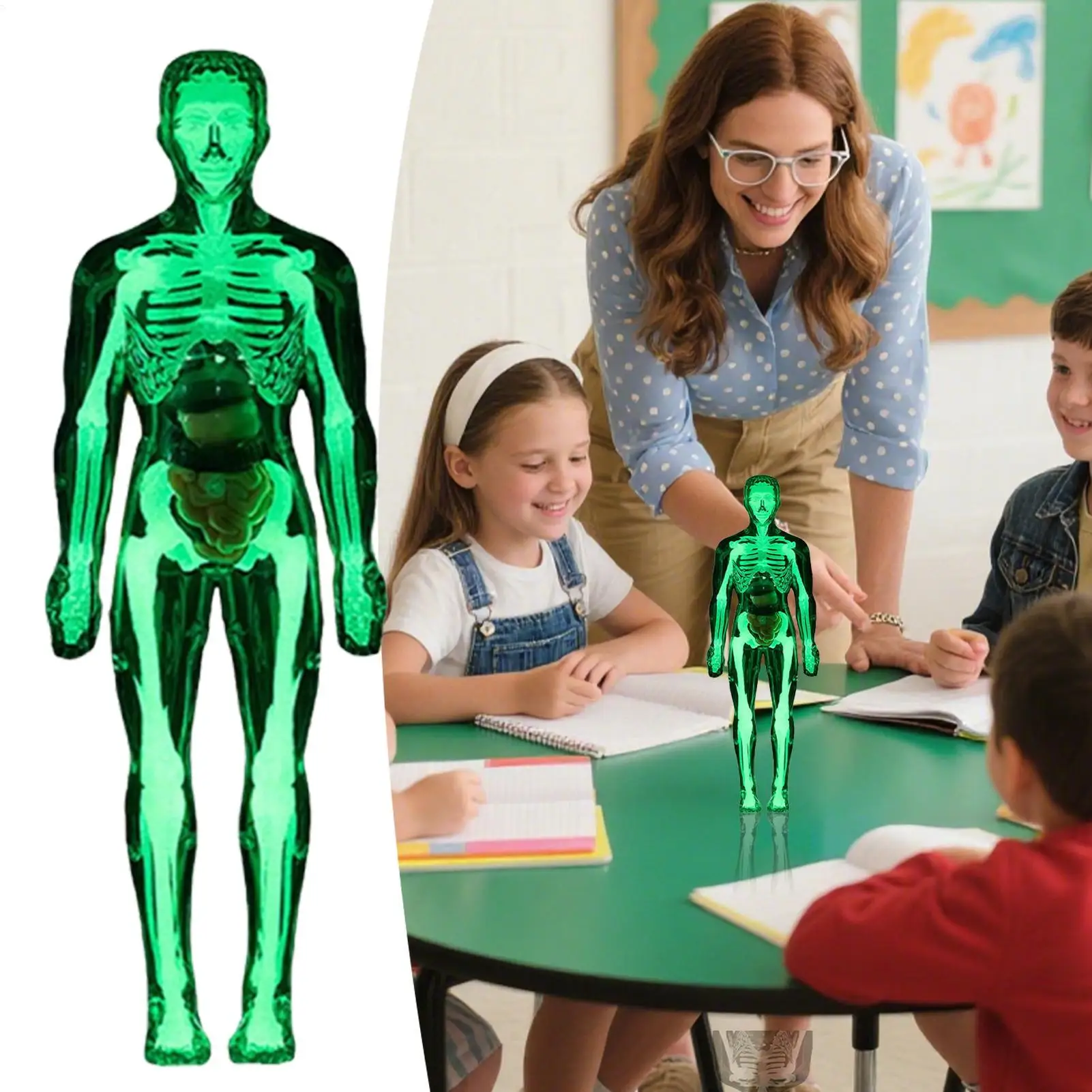 

Анатомическая модель человека, 3D модели структуры человеческого тела, анатомическая сборка, развивающие игрушки для учащихся, домашнее обучение, учителя, искусство