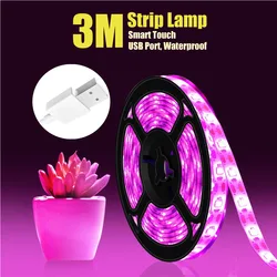 LED Grow Light Strip para Plantas, Espectro Completo, 5V, Lâmpadas Phyto para Estufa, Plantio Hidropônico, Sementes de Flores, Fito Lamp Strip, 3m