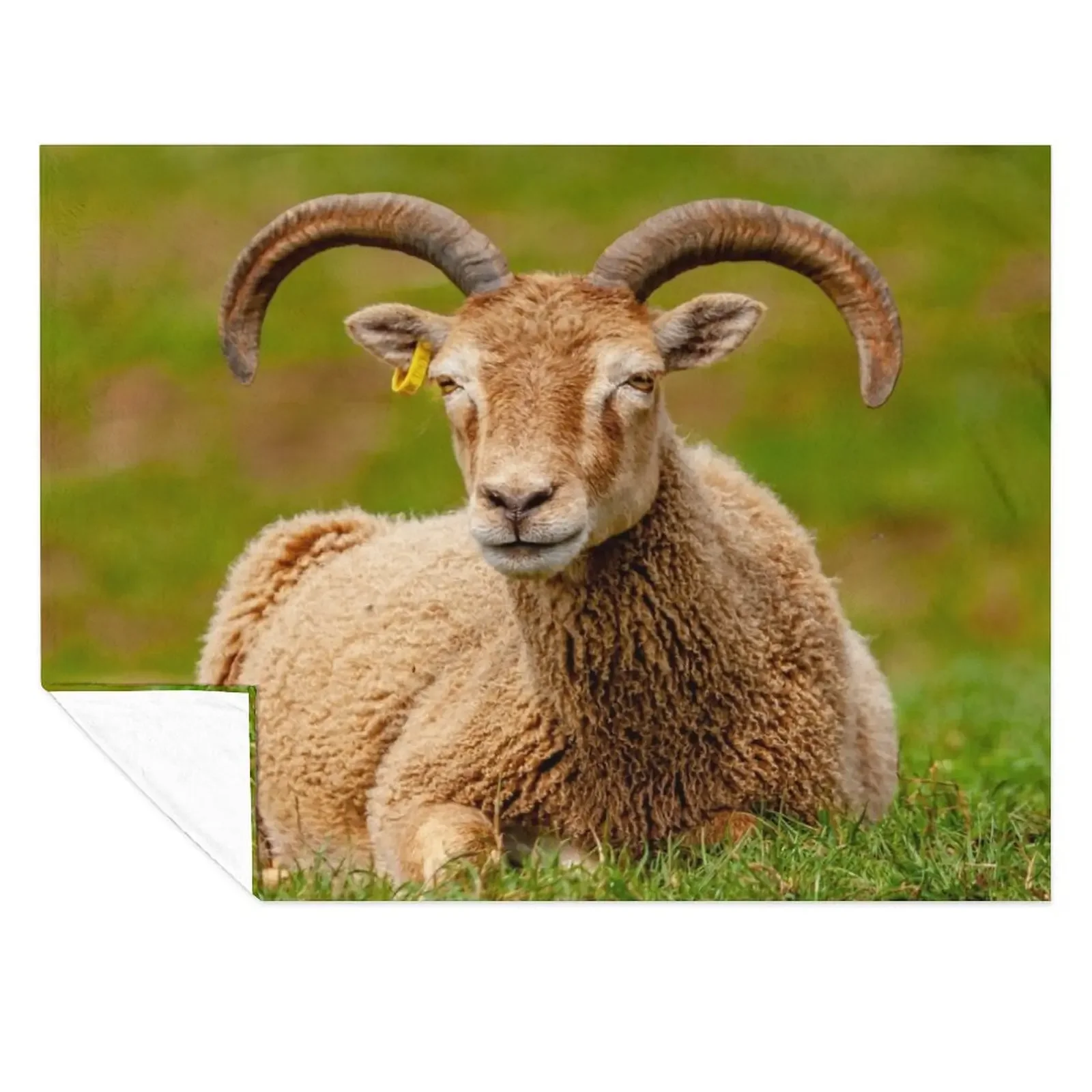 

Soay Sheep Throw Blanket Summer Beddings Luxury Thicken Warm decorative Blankets