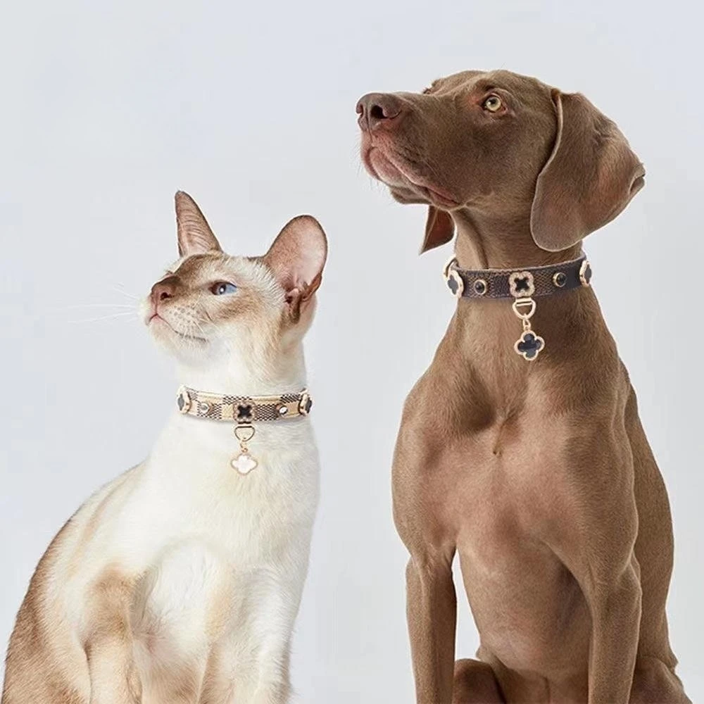 

Cat Collar Small Dogs Pet Necklace PU Leather Strap Adjustable Small Medium Dog Tag Puppy Pet Accessories Perro Supplies Luxury