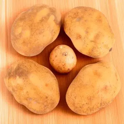 

4pcs Potato Decorations Lifelike Simulation Models Vegetable Props Realistic Fake Potatoes Small Orange Photography Ornaments