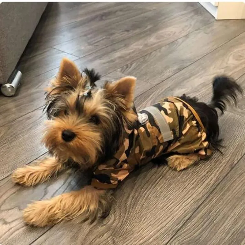 Camouflage Pet Dog Raincoat Waterproof Jumpsuit Outdoor Chihuahua Yorkie Reflective Jacket Coat