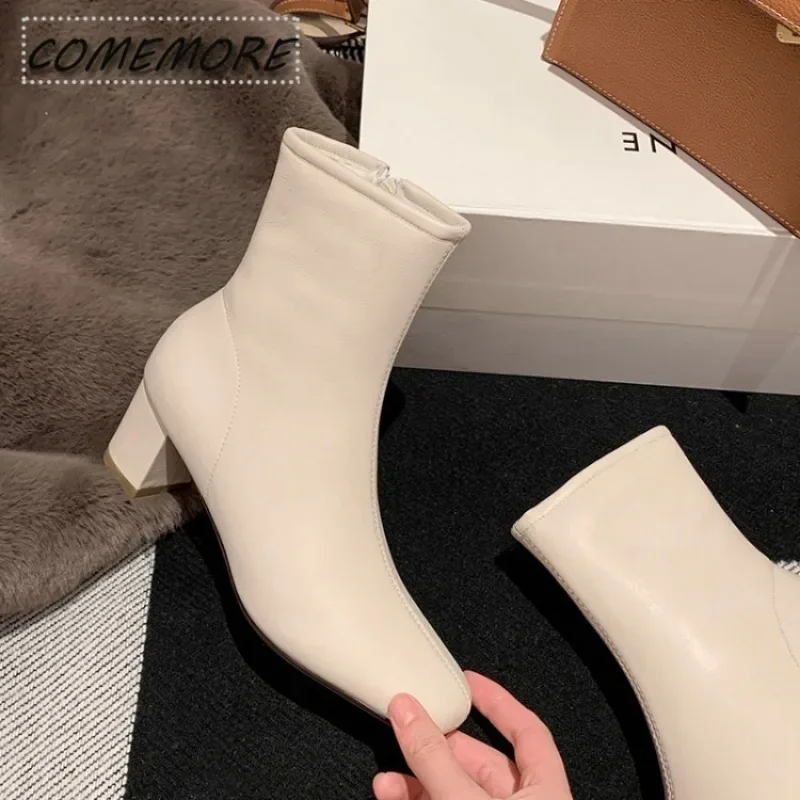 Winter Warm Plush Women Ankle Boots Fashion Zippers Elegant Thick High Heel Shoes Street Style Keep Warm Ladies Short Boot Beige