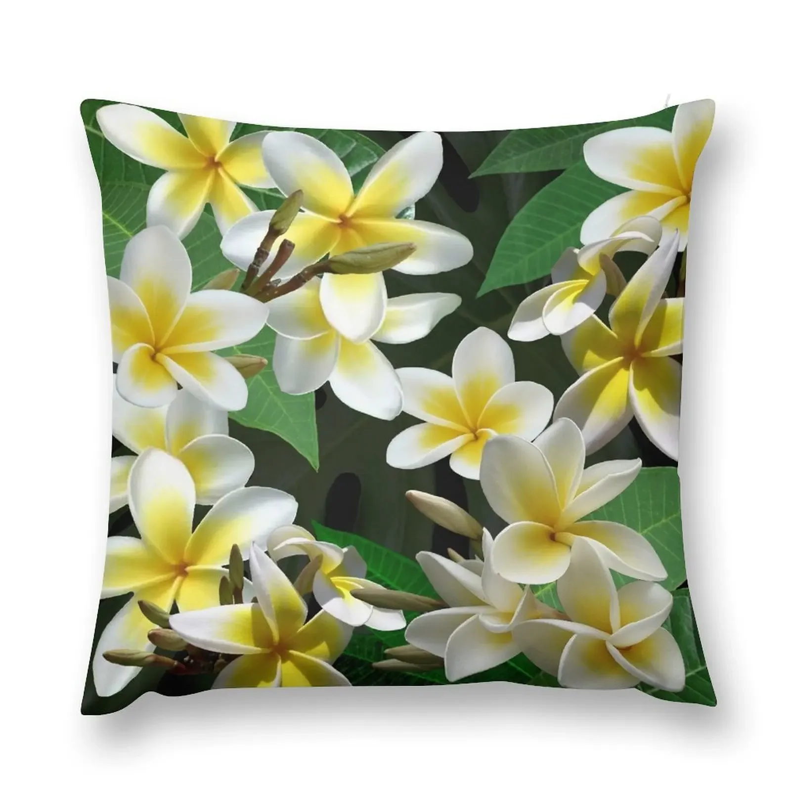 

Plumeria Flowers Throw Pillow Decorative Cushion Pillow Cases Decorative pillow