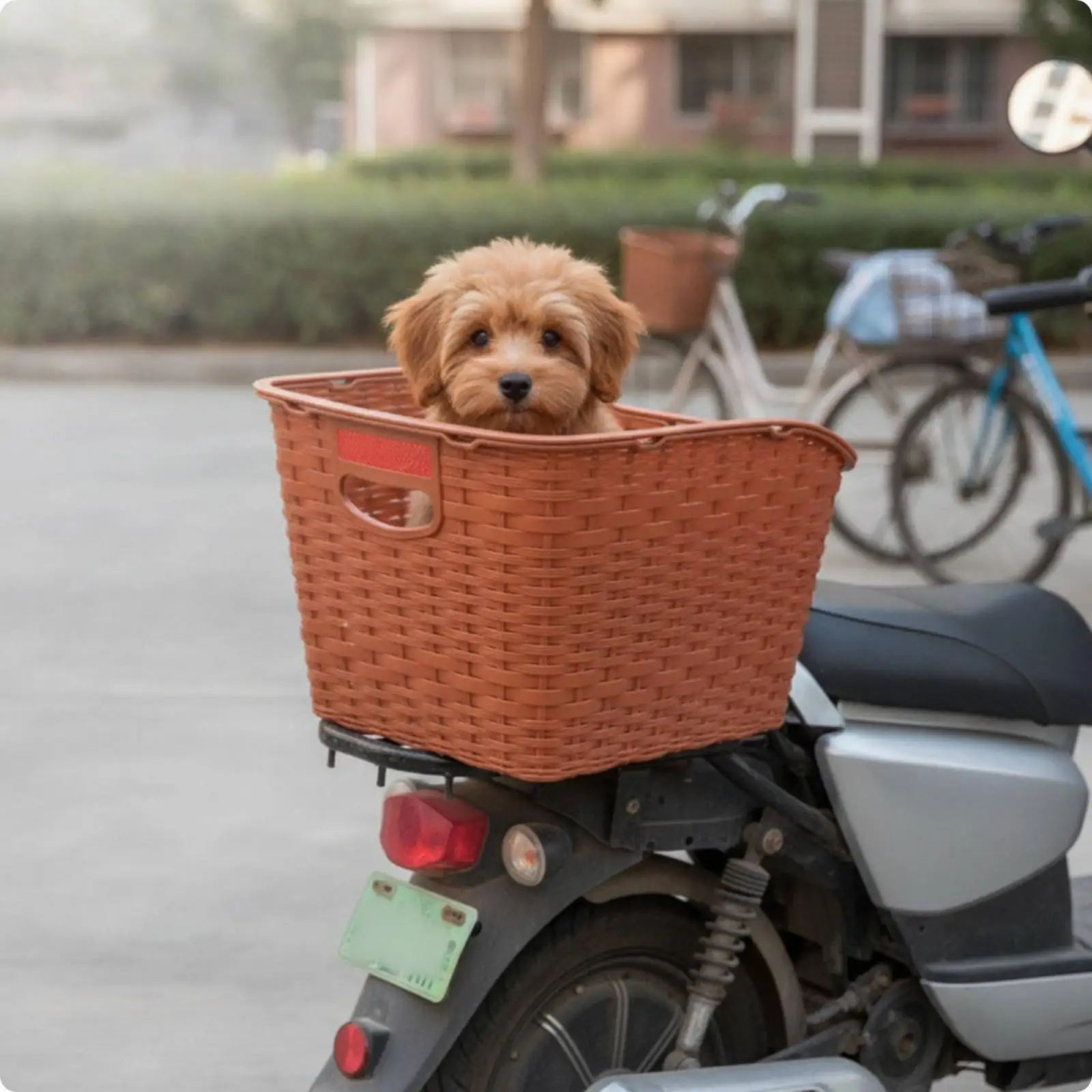 Multipurpose Bike Front Basket in Natural Rattan Pattern for Grocery Shopping and Small Pet Transport on Daily Rides
