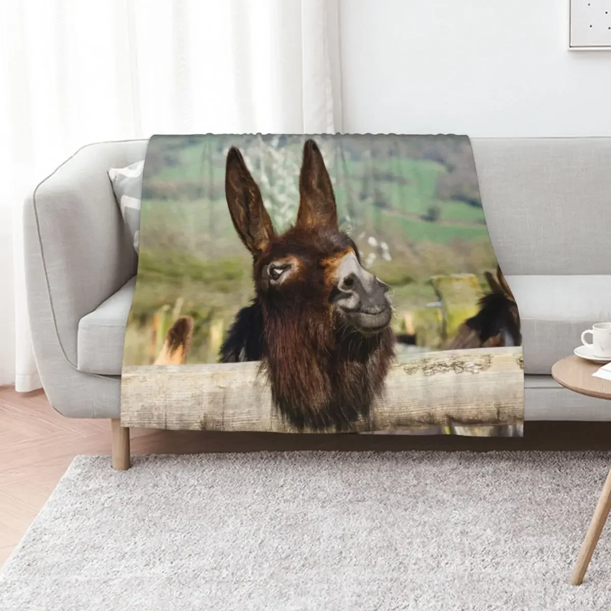 Doc The Donkey Thro…