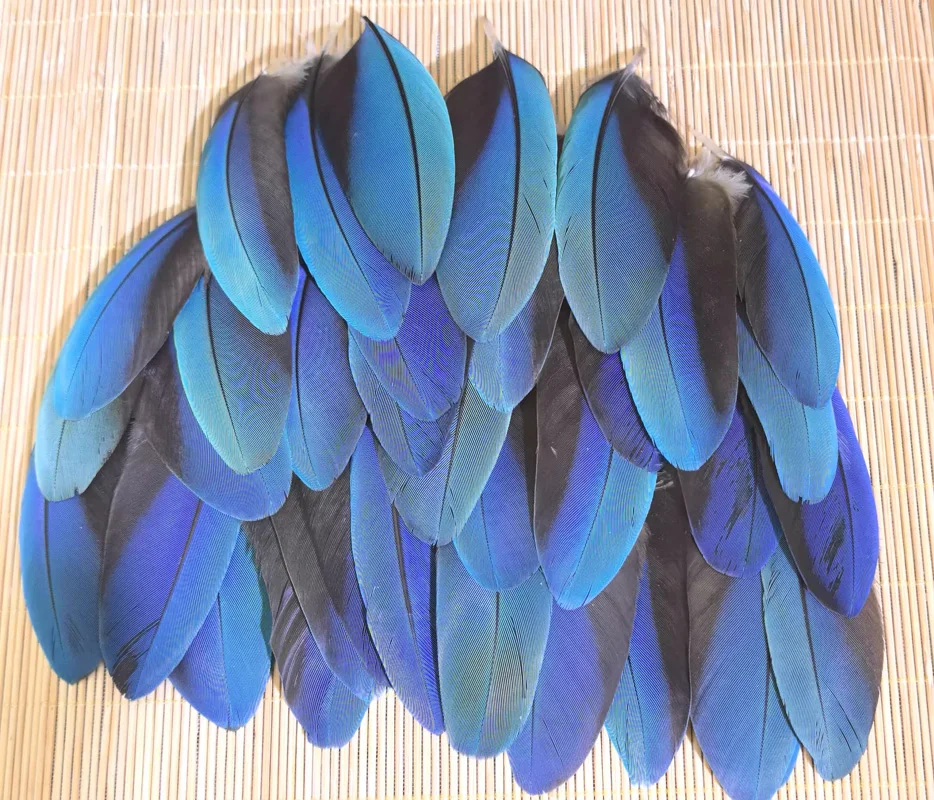 

5 шт./лот! Редкие яркие синие перья для попугая длиной 7-10 см с маленькими крыльями для рукоделия, аксессуары для рукоделия