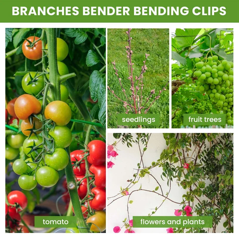 100Pcs Plant Benders For Low Stress Training, Plant Training Clips, Plant Supports Control The Growth Of Plants