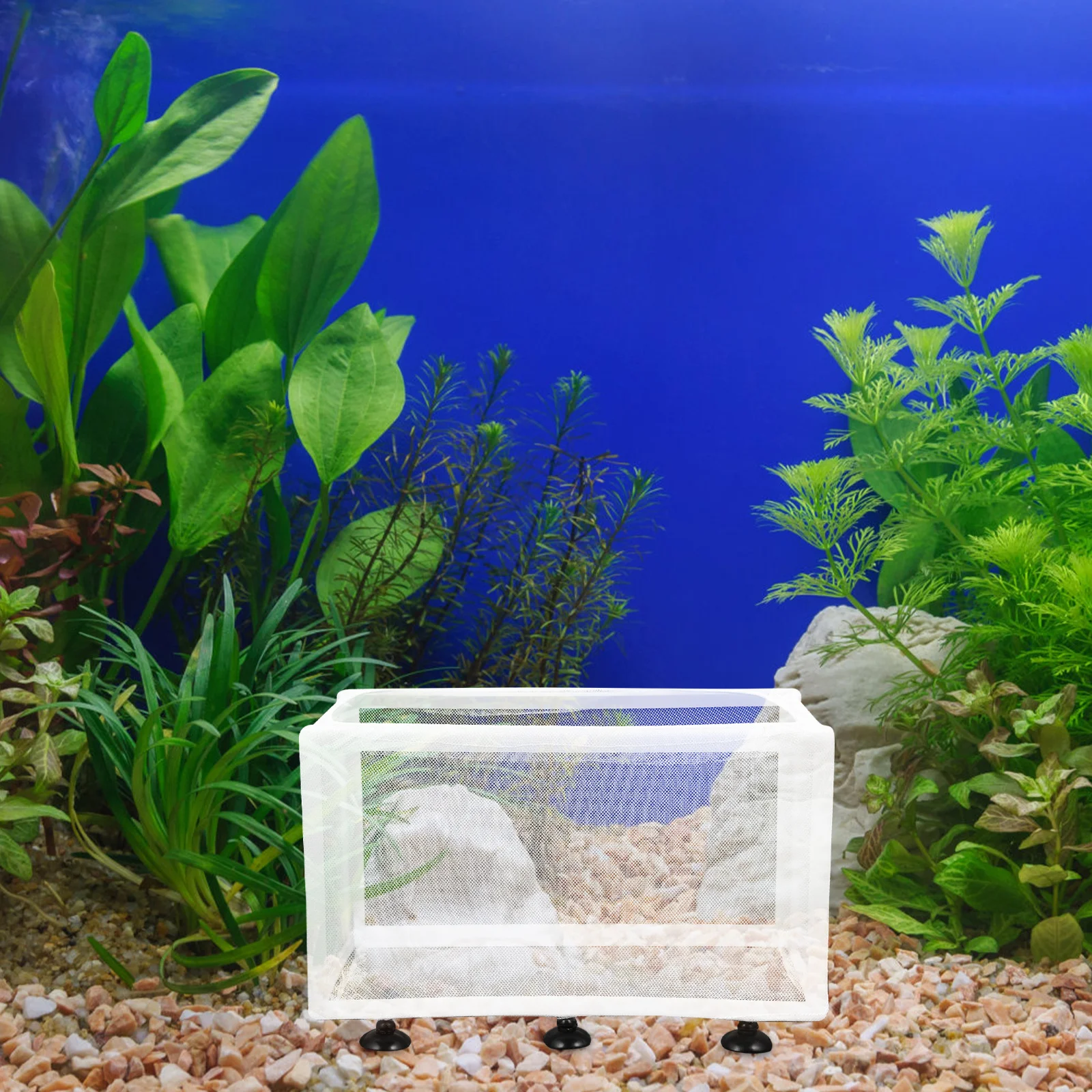 

2 Pcs Isolation Net Breeding Box Fish Separator for Aquarium Professional Household Convenient