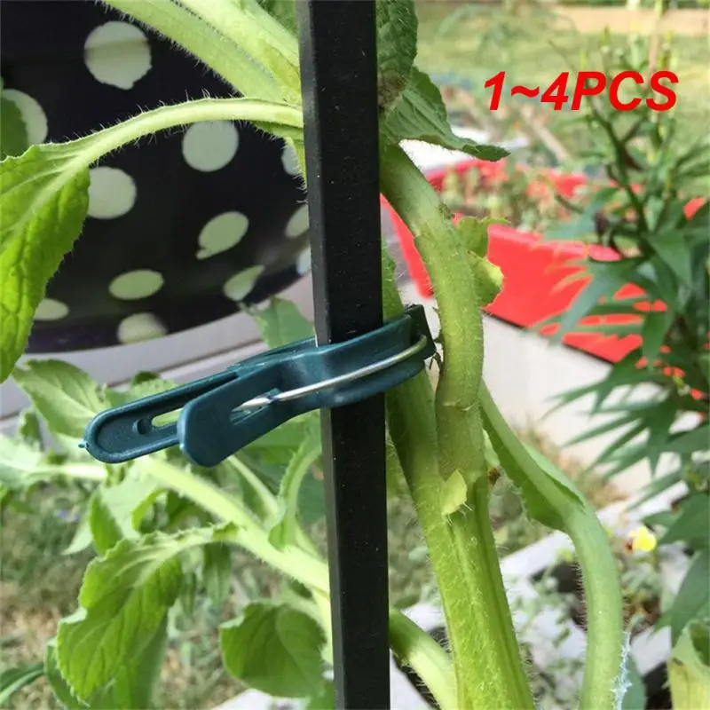 

1~4PCS 2022new 2/6/10 Pieces Reusable Plant Clips Plant Stems Vines Climbing Fixtures for Gardening Nursery Stand Tool