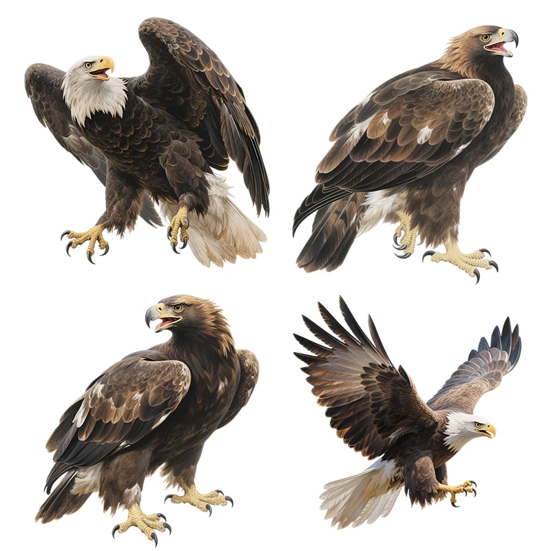 

Наклейки на стену Three Ratels CEE236 Fierce Eagle для украшения дома, наклейки на автомобиль, водонепроницаемые, самоклеящиеся из ПВХ