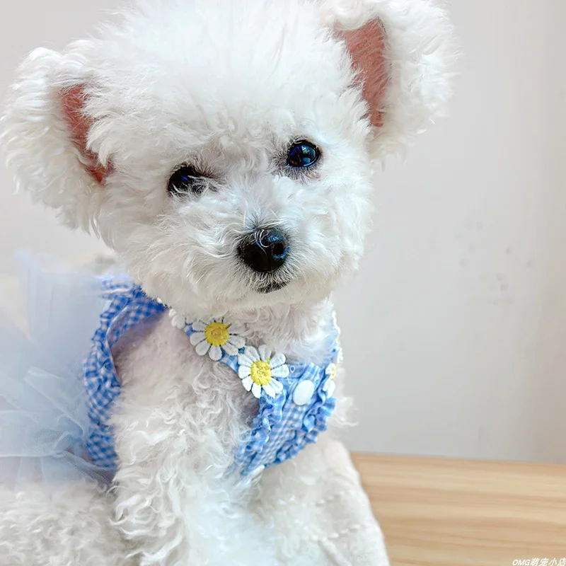 1PC Pet Clothing Cat Spring/Summer Thin Blue Rabbit Ear Gauze Dress Princess Dress Suitable for Small and Medium Dogs