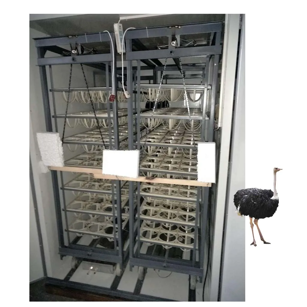 

Hatching 336 Ostrich Eggs Automatic Ostrich Emu Incubator HJ-I20