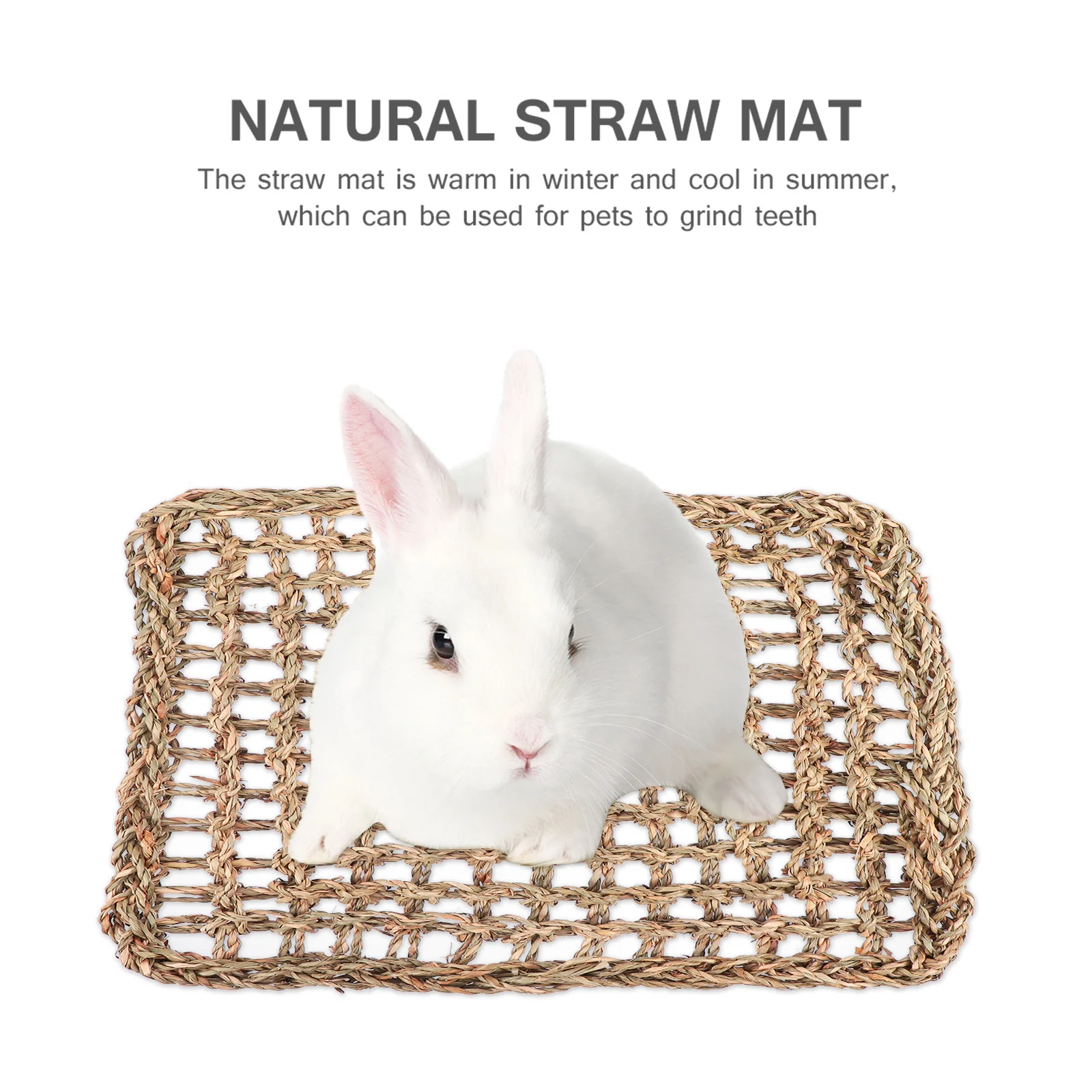 

2pcs Pet Grass Mat Rabbit Guinea Pig Chew Woven Bed Mat Durable Small Animal Foot Pad Ground Protector Hamster Squirrel Bunny