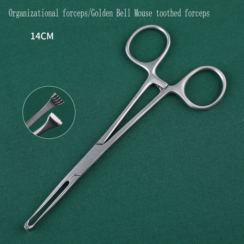 Stainless steel tissue forceps, golden bell mouse teeth forceps, Alice forceps for cosmetic plastic surgery, extraction forceps,