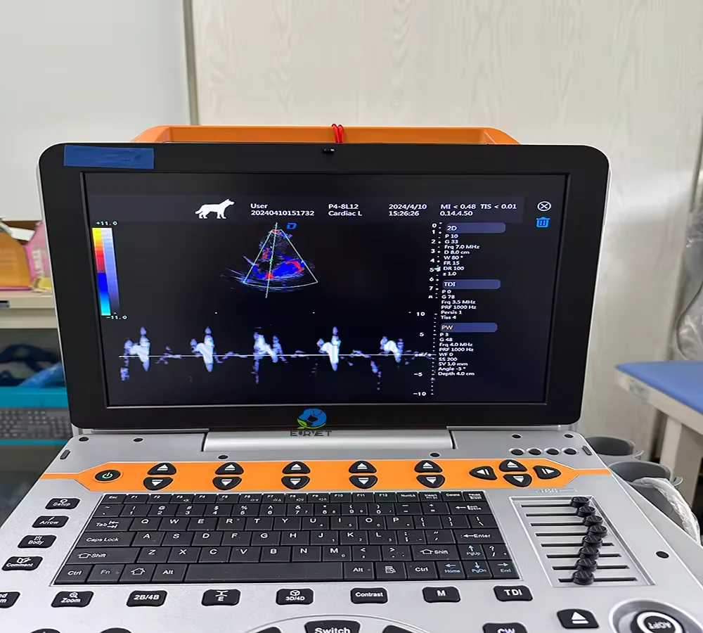 Eur Vet Medical 3D …