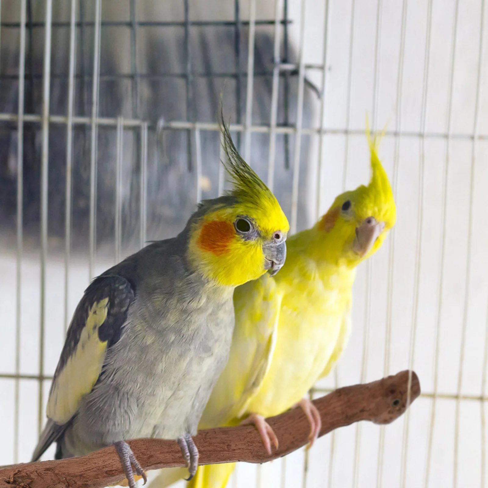 Wood Bird Perch St Parrot Play Cage Accessories Hard Texture Long Lasting Use Claw Rack Pet Gift