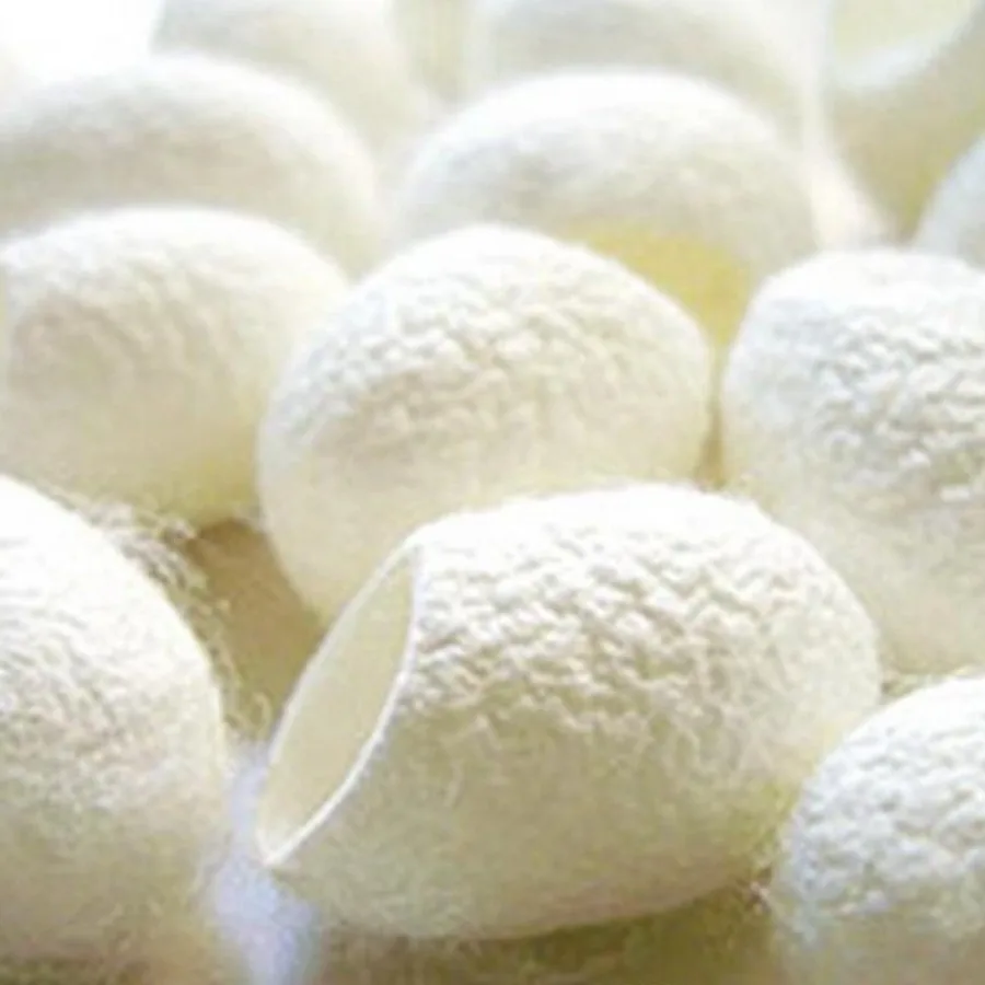 Bola facial de concha de capullo de limpieza de 25 piezas, exfoliante de masaje facial, puntos negros exfoliantes, limpieza profunda, esencial para el cuidado de la piel.