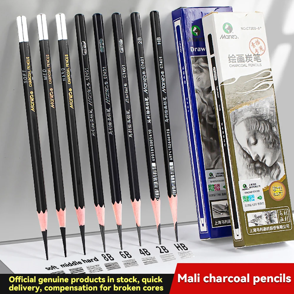 12Pcs 2H HB B 2B 3B 4B 5B 6B 7B 8B 12B 14B Sketch Drawing Graphite Shading Charcoal Pencils Set Sketching for Artists Beginners