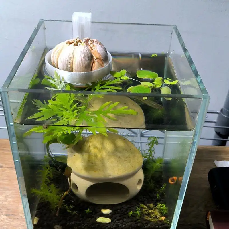 1Pcs Easy Dispenser Hanging Fish Feeding Ring Adjustable Plastic Fish Tank Station Anti Drifting Fish Food Feeder Aquarium