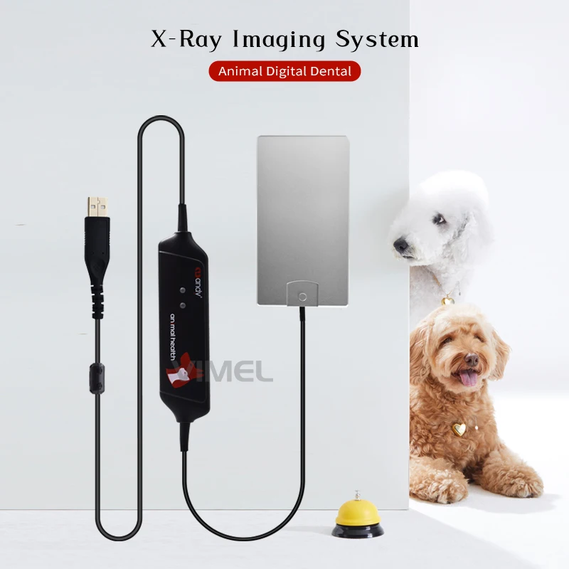 New Handy PET Animal Digital Dental X-Ray Sensor  Imaging System USB Intra Oral RVG Sensor