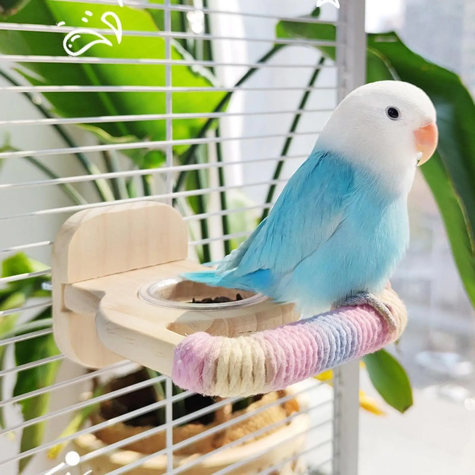 Bird Perch Compact Wood Perch Stand for Conures Small Parrots Parakeets