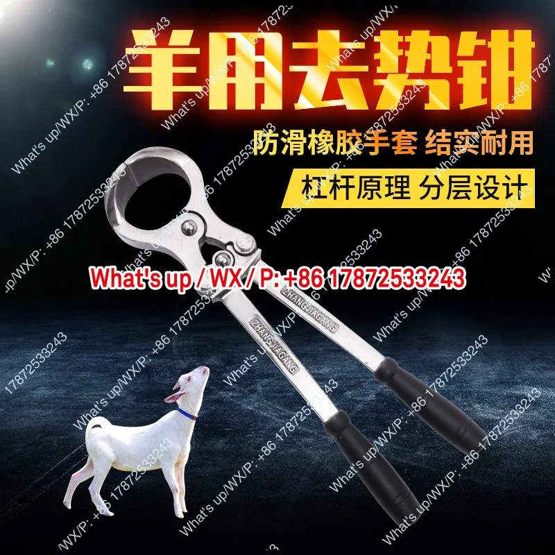 Bloodless castration forceps for sheep, castration forceps for sheep, egg forceps, animal instruments