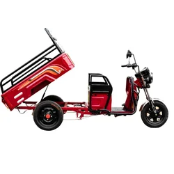 China electric cargo tricycle 1000 kg open body type electric tricycle for passenger seat and cargo