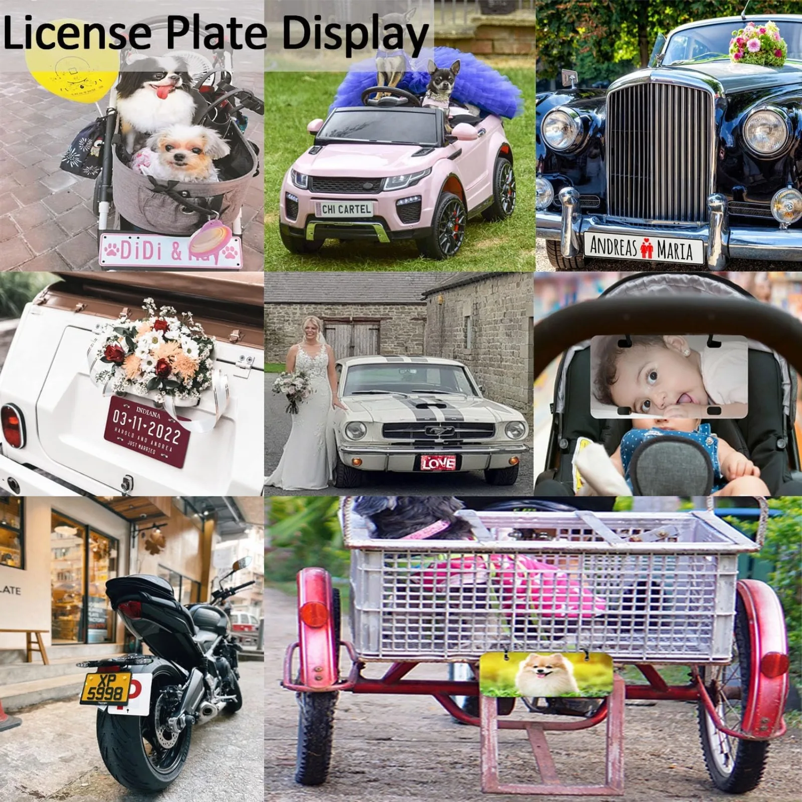 Personalized Pet House Sign Custom Photo Aluminum Plate Sign Decor for Home